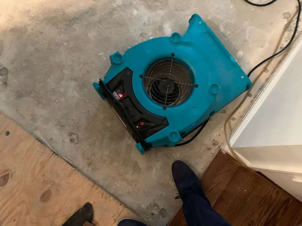 Air mover drying subfloor during Leak Detection & Repair in Jersey City